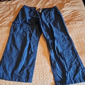 Aerie Blue Cargo Pants Lg